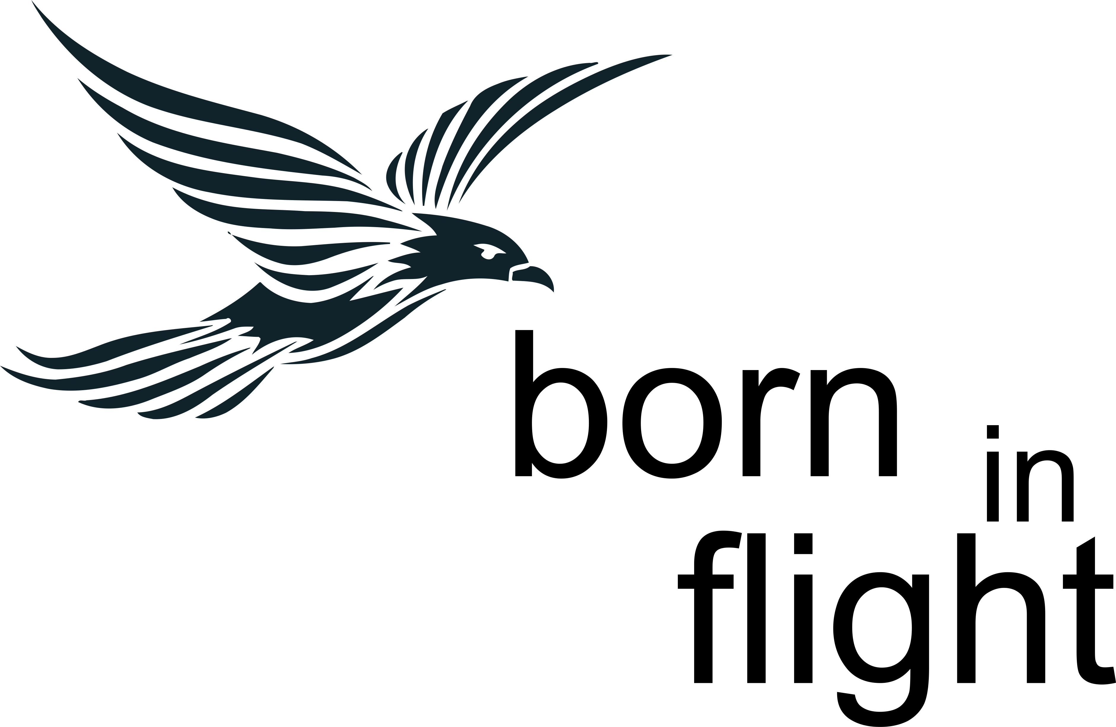 Born in Flight logo